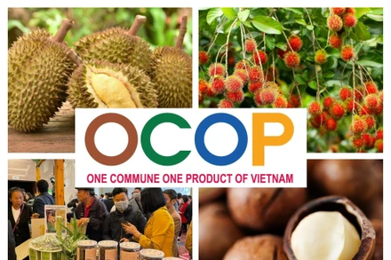 [Video] Chương trình Mỗi xã một sản phẩm