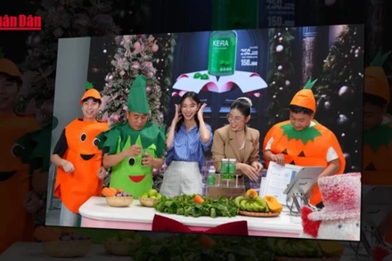 Xử phạt Quang Linh Vlogs, Hằng Du Mục 140 triệu đồng do quảng cáo sai sự thật