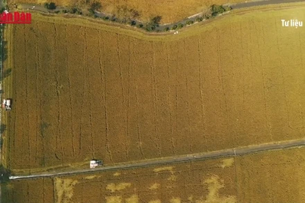 [Video] Tiếp tục miễn thuế đất, thúc đẩy chuyển dịch cơ cấu nông nghiệp