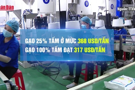 [Video] Gạo Việt lấy lại vị thế đắt giá nhất thế giới, 396 USD/tấn