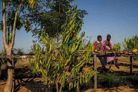 Ảnh: Action Against Hunger