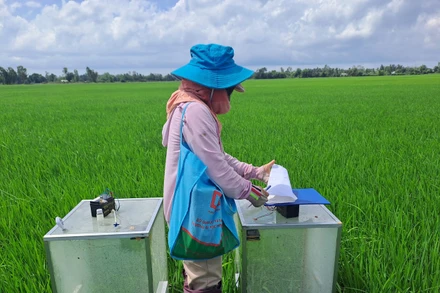 Nông dân ở huyện Tân Hiệp, tỉnh Kiên Giang học cách đo khí thải carbon.