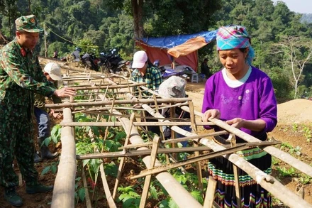 Cán bộ, chiến sĩ Bộ Chỉ huy quân sự tỉnh Bắc Kạn cùng sản xuất với người dân xã Xuân Lạc (Chợ Đồn). (Ảnh QUANG NHẤT)