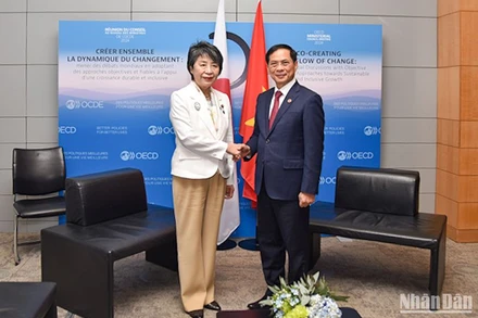 Bộ trưởng Ngoại giao Bùi Thanh Sơn gặp Bộ trưởng Ngoại giao Nhật Bản Kamikawa Yoko. Ảnh: Khải Hoàn