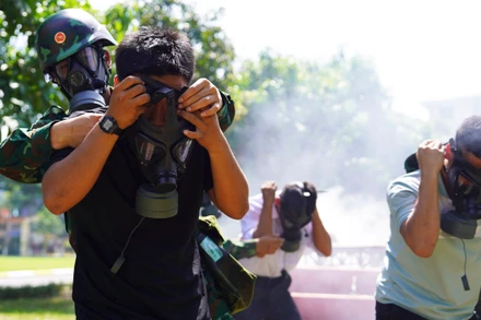 Lữ đoàn Phòng hóa 87, thuộc Binh chủng Hóa học, được thành lập vào tháng 8/2008. Đơn vị này có nhiệm vụ huấn luyện sẵn sàng chiến đấu, bảo đảm tác chiến tại chiến trường miền nam, khắc phục sự cố hóa chất độc hại, ô nhiễm môi trường, xử lý chất độc tồn lưu sau chiến tranh, và tham gia phòng, chống khủng bố, chống bạo loạn.