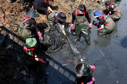 Nhiều đoàn viên, thanh niên xã Phước Kiển, huyện Nhà Bè phối hợp với nhóm Sài Gòn Xanh, Hội yêu rác vừa tiến hành nạo vét khơi thông dòng chảy và cải tạo cảnh quan tại (Cầu Rạch Chùa Lớn ) ẤP 5, Lê Văn Lương, Xã Phước Kiển.