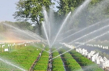 Cách mạng xanh 4.0 là sự kết hợp của các công nghệ hiện đại như trí tuệ nhân tạo, dữ liệu lớn, công nghệ sinh học và số hóa trong sản xuất nông nghiệp.