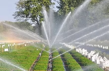 Cách mạng xanh 4.0 là sự kết hợp của các công nghệ hiện đại như trí tuệ nhân tạo, dữ liệu lớn, công nghệ sinh học và số hóa trong sản xuất nông nghiệp.