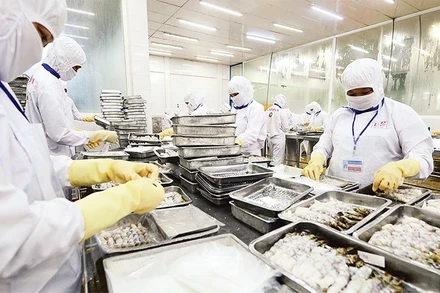 Trước việc EU kiểm soát asen vô cơ các doanh nghiệp chủ động thích ứng, kiểm soát nâng cao chất lượng để sẵn sàng xuất khẩu vào thị trường EU.