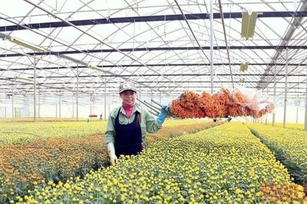 Giải bài toán đầu tư cho đổi mới khoa học công nghệ trong nông nghiệp