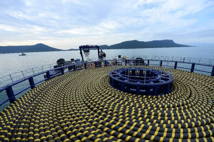 Cáp ngầm đưa điện ra đảo vào tháng 2/2014.