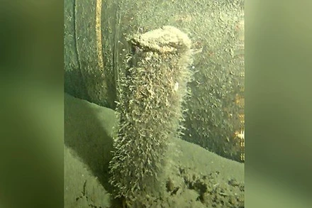 Một vật thể được tìm thấy gần đường ống Nord Stream 2 ở vùng biển Baltic của Đan Mạch. (Nguồn: AFP)