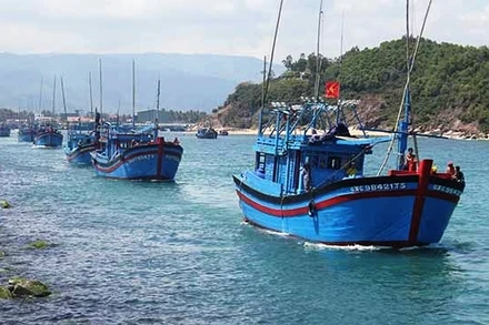 Tình trạng kiểm tra, giám sát các tàu cá đặc biệt các tàu cá mất kết nối từ 6 tháng trở lên vẫn còn tồn tại nhiều bất cập. 