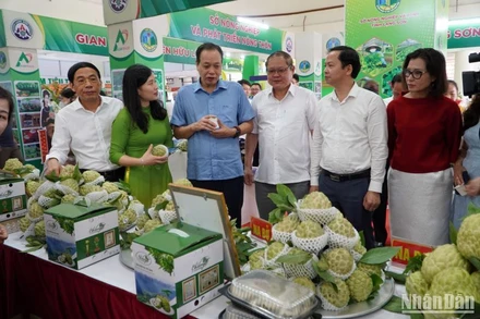 Với quy mô trên 80 gian hàng và 1.000m2 khu trưng bày, bán nông đặc sản vùng miền của các hợp tác xã, doanh nghiệp, hội nông dân đến từ các tỉnh thành.