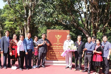 Lãnh đạo tỉnh Điện Biên, đại diện Hội Bảo vệ thiên nhiên và Môi trường Việt Nam cùng nhân dân xã Sín Chải, huyện Tủa Chùa gắn biển bia bảng Cây di sản Việt Nam tại thôn Hấu Chua.