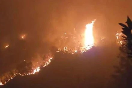 Thủ tướng Chính phủ yêu cầu tăng cường triển khai các biện pháp cấp bách phòng cháy, chữa cháy rừng