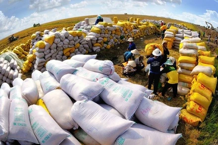Xuất khẩu gạo lọt vào tốp những mặt hàng nông nghiệp có mức tăng trưởng cao và đạt trên 1 tỷ USD trong 3 tháng đầu năm.
