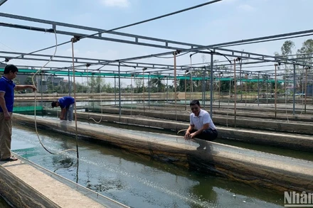 Chuyển đổi sinh kế tại các cộng đồng ngư dân ven biển theo hướng giảm khai thác, tăng nuôi trồng và đẩy mạnh bảo tồn biển, bảo vệ và phát triển nguồn lợi thủy sản được xác định hướng đi bền vững của ngành thủy sản.