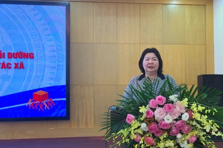 Chủ tịch Liên minh HTX Việt Nam Cao Xuân Thu Vân phát biểu tại Hội thảo.