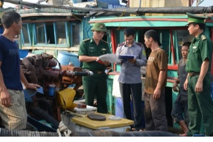 Thứ trưởng Phùng Đức Tiến vừa ký văn bản số 203/BNN-TS gửi Chủ tịch Ủy ban nhân dân các tỉnh/thành phố trực thuộc trung ương ven biển về việc rút kinh nghiệm về công tác thi hành pháp luật về xử lý vi phạm hành chính trong lĩnh vực thủy sản tại các địa phương. (Ảnh minh họa)