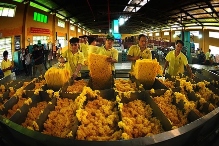 Thái Lan, Indonesia, Trung Quốc, Việt Nam và Nhật Bản là 5 thị trường lớn nhất cung cấp cao-su cho Hàn Quốc. 