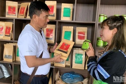 Ứng dụng công nghệ mới giúp các doanh nghiệp vừa và nhỏ có điểm bán hàng có thể thu hút và giữ chân khách hàng thông qua nền tảng ứng dụng công nghệ với chi phí 0 đồng.