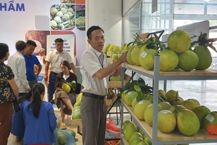 Điểm trưng bày nông sản an toàn và sản phẩm làng nghề truyền thống Việt Nam.