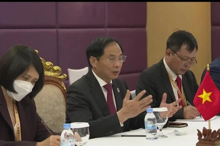 Bộ trưởng Ngoại giao Bùi Thanh Sơn.