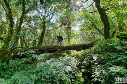 Loại hình du lịch khám phá, mạo hiểm (du lịch trekking) không còn xa lạ với nhiều người, nhất là với giới trẻ hiện nay.
