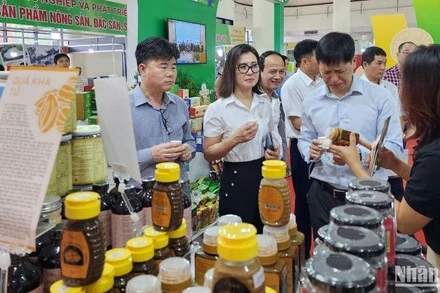 Liên kết vùng không chỉ giúp doanh nghiệp, hợp tác xã nắm bắt thị trường mà còn đưa sản phẩm thế mạnh địa phương tới hệ thống phân phối.