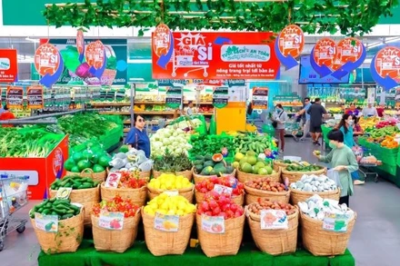 Thị trường nội địa rất tiềm năng với doanh nghiệp.