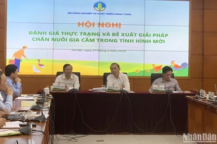 Ngành chăn nuôi đối mặt nhiều khó khăn thách thức trong tình hình mới.