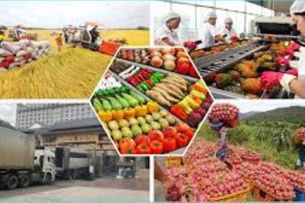 Tổng kim ngạch xuất, nhập khẩu hàng nông lâm thủy sản 2 tháng đầu năm ước đạt xấp xỉ 12 tỷ USD