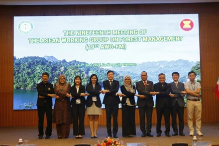 Các đại biểu thể hiện cam kết thực hiện quản lý rừng bền vững.