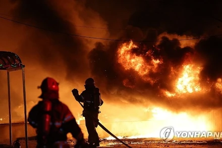 Trên cả nước Hàn Quốc có tới 16 vụ cháy rừng trong bối cảnh gió mạnh. (Ảnh: Yonhap)