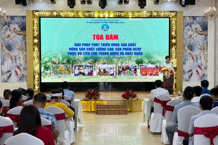 Buổi toạ đàm thu hút đông đảo các đại biểu tham gia.