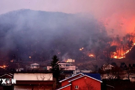 Cháy rừng dữ dội tại Andong, tỉnh Bắc Gyeongsang, Hàn Quốc ngày 25/3/2025. (Ảnh: THX/TTXVN) 