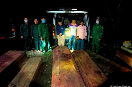 Xe ô-tô 75D-00393 chở 28 phách gỗ trái phép bị bắt giữ lúc 2 giờ 20 phút rạng sáng ngày 3/3.