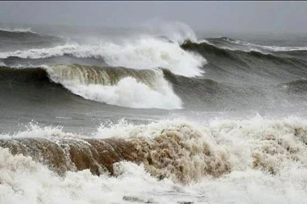 Bộ Nông nghiệp và Môi trường đã ra Công văn số 978/BNNMT-ĐĐ về việc chủ động ứng phó với không khí lạnh, mưa lớn, lốc, sét, mưa đá và gió mạnh trên biển.