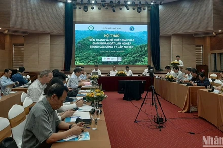 Hội thảo "Hiện trạng và đề xuất giải pháp giao khoán đất lâm nghiệp trong các công ty lâm nghiệp", ngày 25/4, tại Hà Nội.