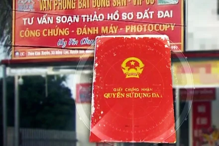Ảnh minh họa.