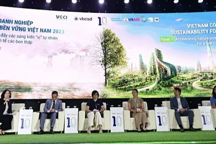 Các đại biểu tham luận tại Diễn đàn VCSF.