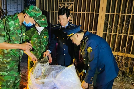 Lực lượng chức năng tỉnh Quảng Trị kịp thời ngăn chặn 1,7 tấn lòng lợn đã bốc mùi hôi thối đang trên đường tiêu thụ