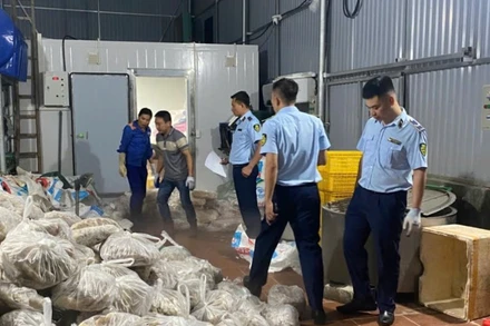 Số lượng lớn thực phẩm đông lạnh vi phạm bị lực lượng quản lý thị trường phát hiện, thu giữ.