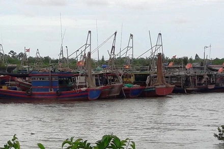 Thanh Hóa chủ động ứng phó cơn bão số 4