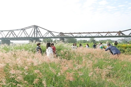 Người dân thích thú chụp ảnh cỏ hồng. (Ảnh: SỸ HIẾU)