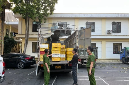 Đối tượng cùng phương tiện và tang vật tại cơ quan Công an.