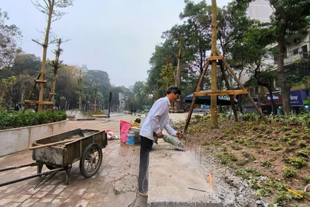 Vườn hoa Vạn Xuân đang được "gọt" bớt bê-tông và bổ sung cây xanh.