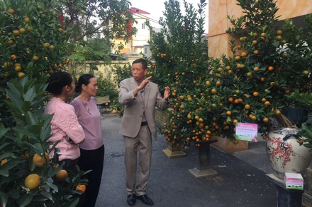 Khách tham quan đến với các tác phẩm tham gia Hội thi. 