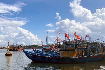 Tàu thuyền neo đậu tại cảng cá Tam Quang, huyện Núi Thành. (Ảnh HÀ NAM)